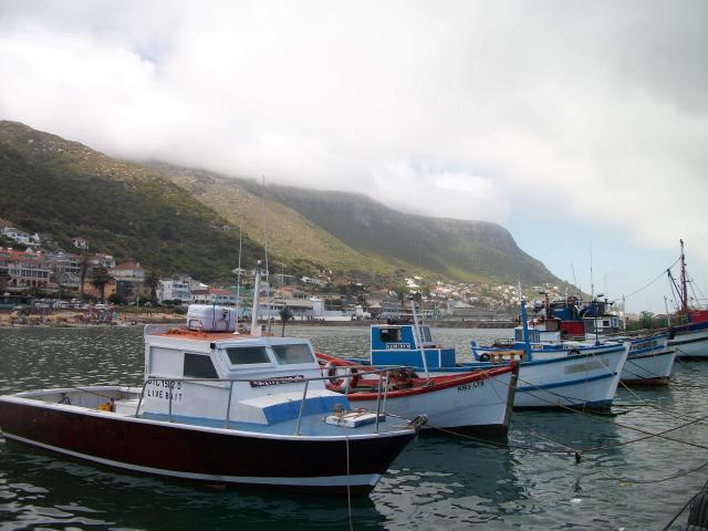 This is the spot for the best fish in town!