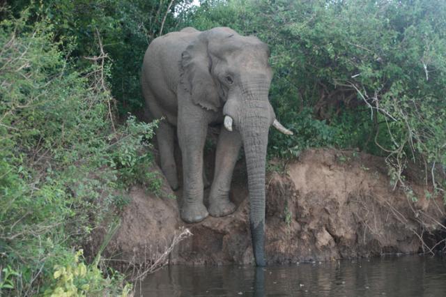 Taken from the canoe