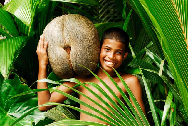 Coco de Mer nut