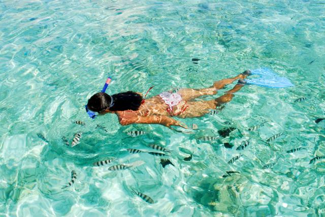 Snorkelling Coco Marine National Park