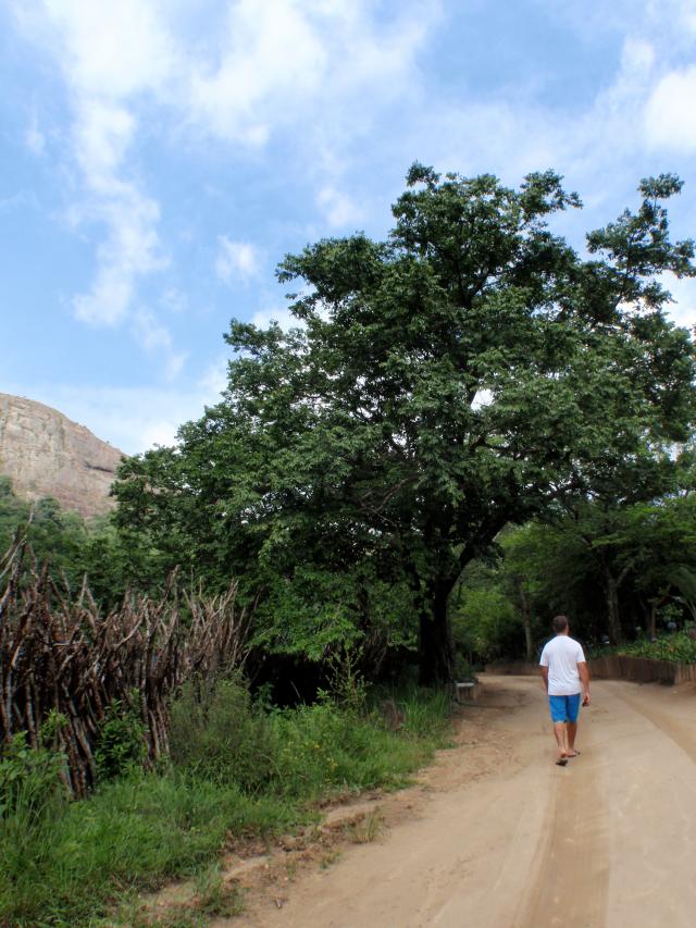 a stroll along Mountain road