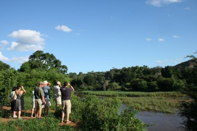 Walking Safari