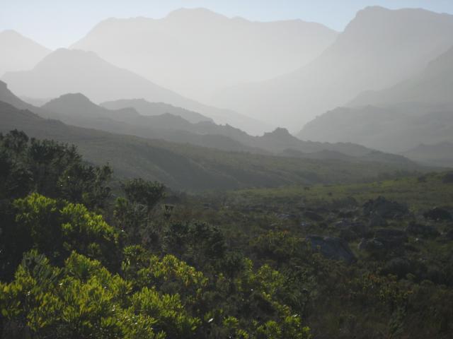 Soft afternoon light on the Kogelberg mountains