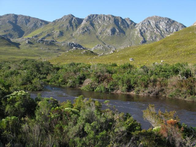 The Palmiet River runs through the Kogelberg
