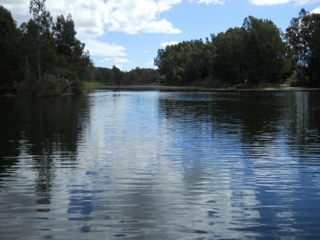 Breede River Reflection