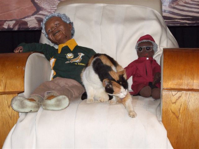 A cat preening between Nelson and Desmond