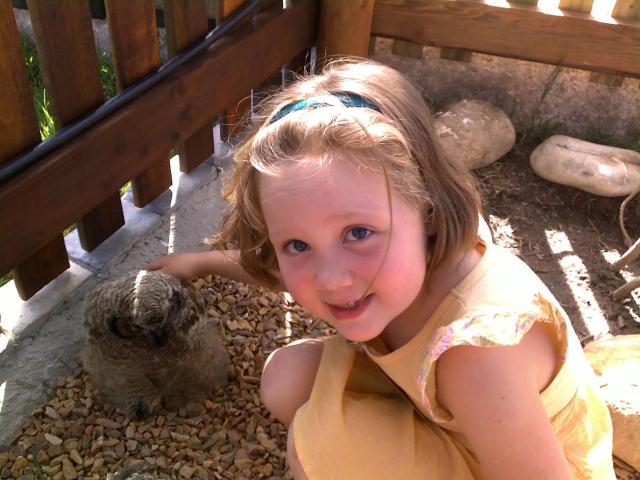 As Soft as an Owlet