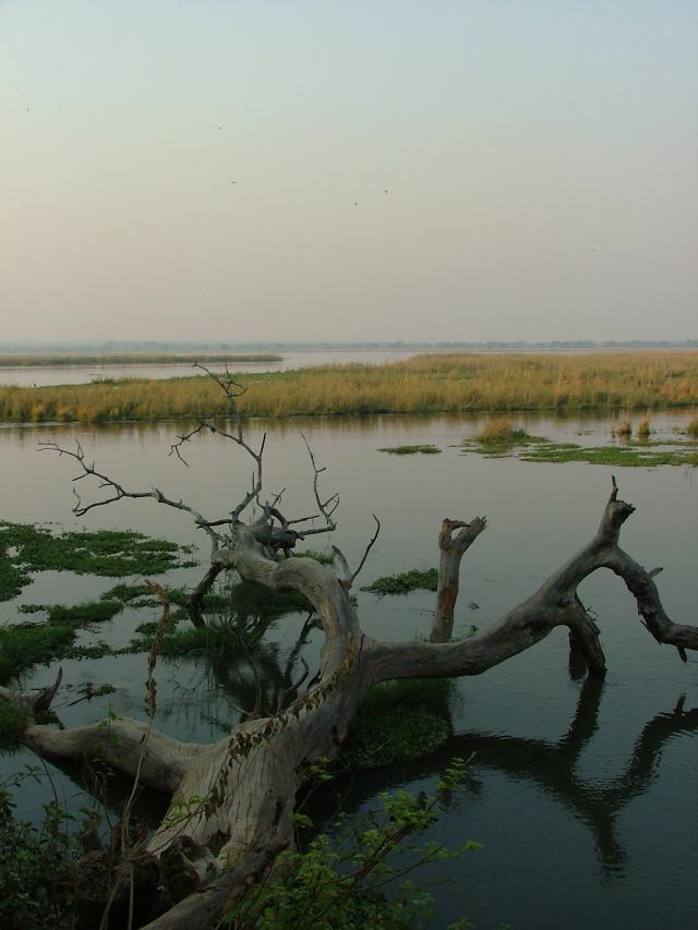 Lower Zambezi