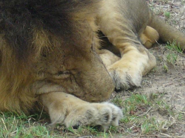Snoozing at Exeter