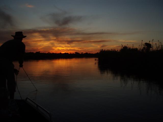 Tiger Fishing in the Okavango Delta