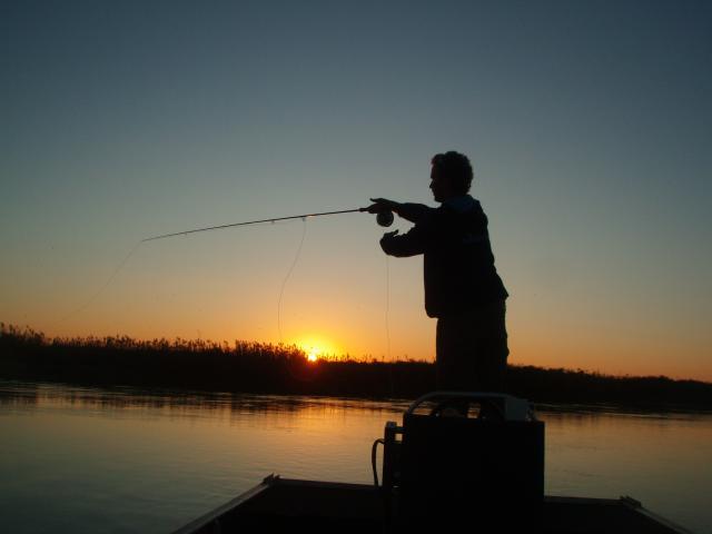 Fishing