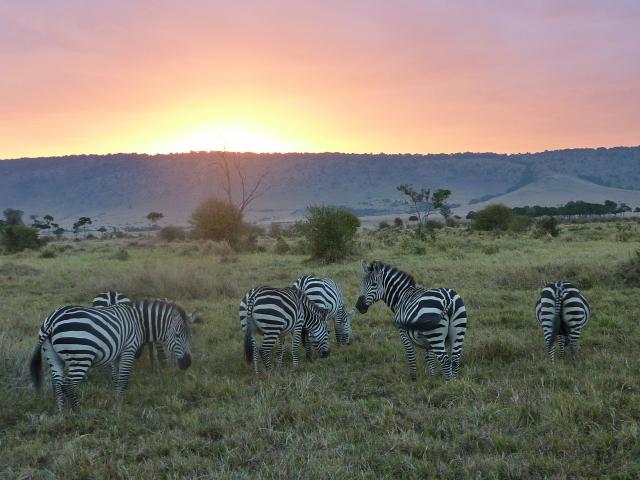 Sunset in the Mara
